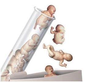 案例